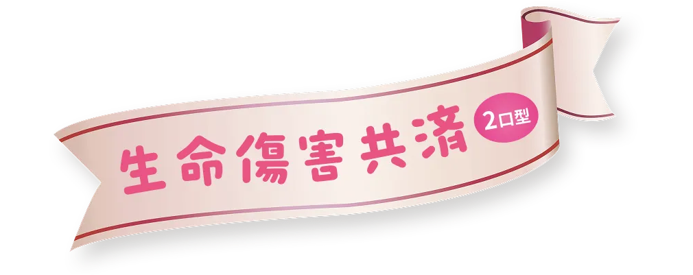 生命傷害共済(2口型)